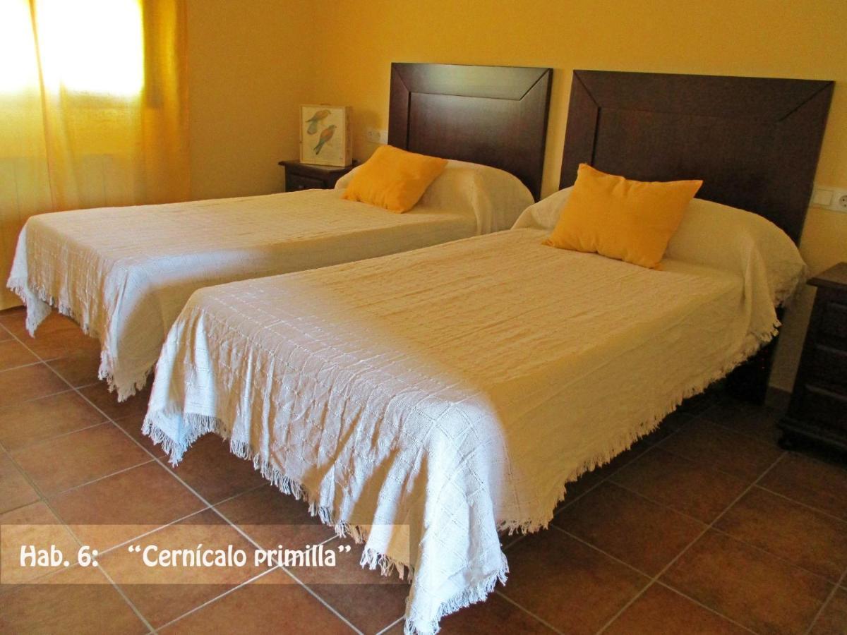 Casa Rural El Nidal Casas de Don Pedro 外观 照片